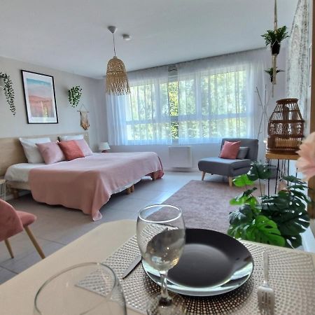 Апартаменти L'Amazonie - Roissy Cdg - Parc Asterix - Paris Moussy-le-Neuf Екстер'єр фото