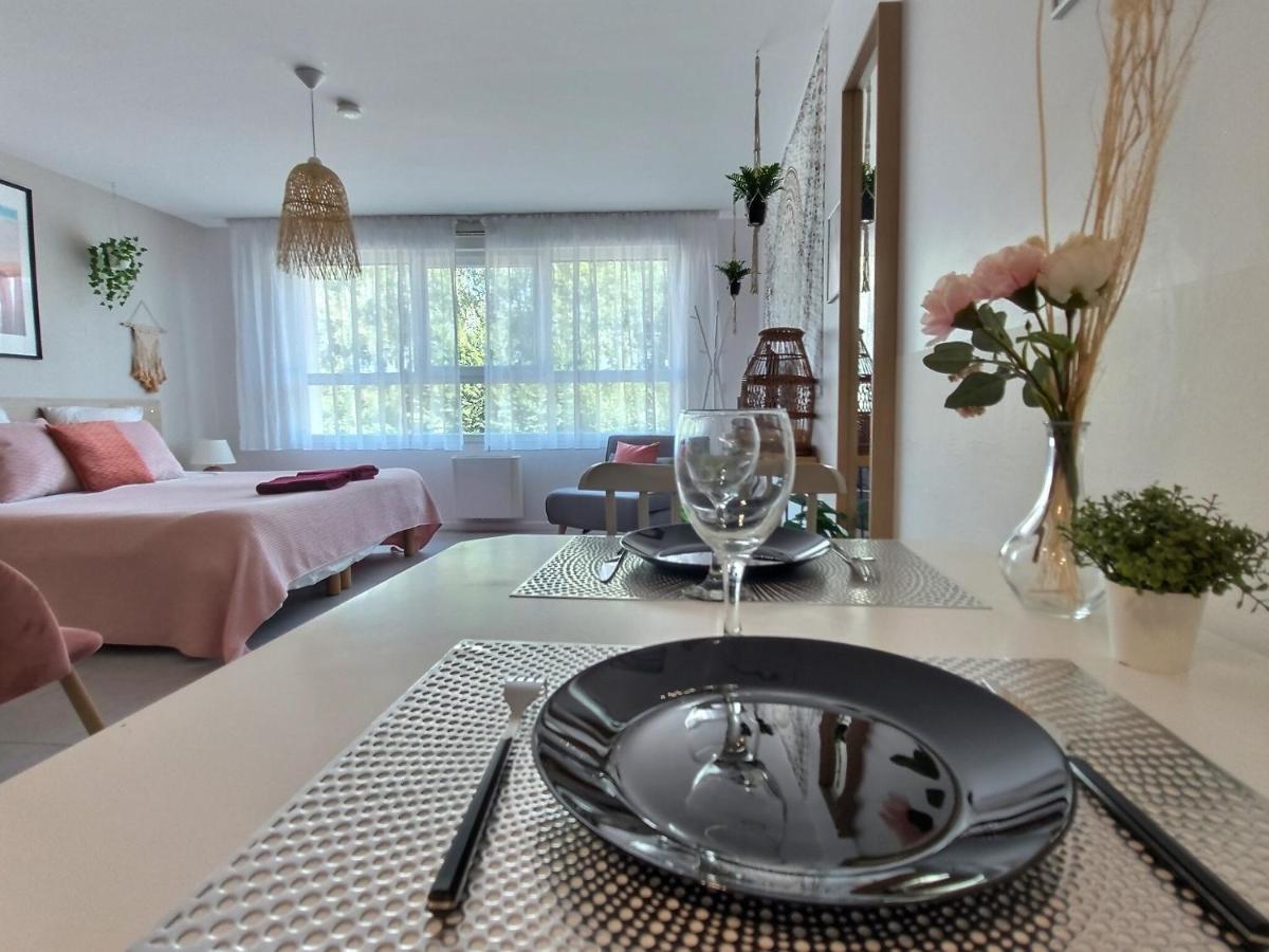 Апартаменти L'Amazonie - Roissy Cdg - Parc Asterix - Paris Moussy-le-Neuf Екстер'єр фото